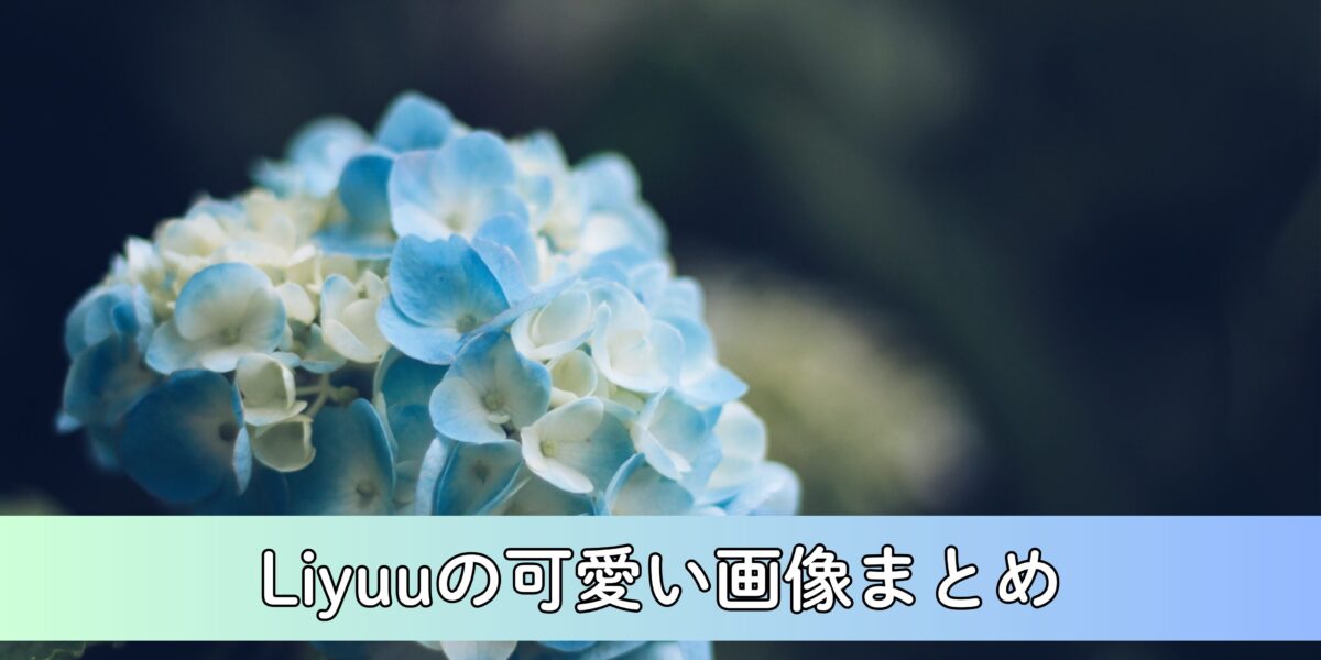 【保存版】Liyuuのコスプレ・かわいい画像まとめ！かわいい制服・水着でファンを魅了！